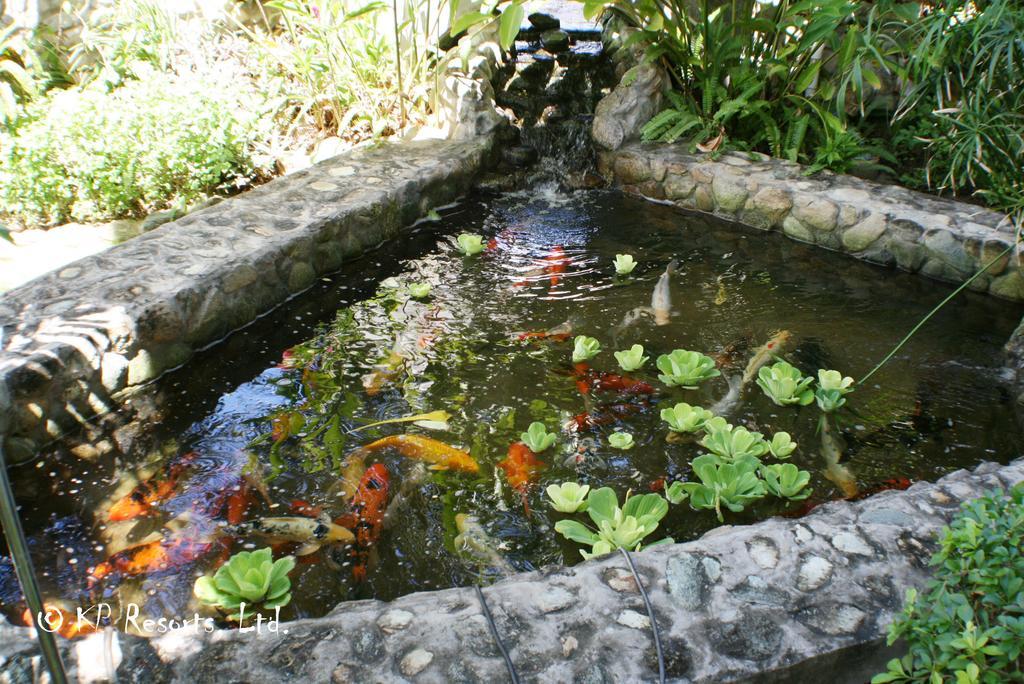Enchanted Waters Tobago Buccoo エクステリア 写真